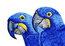 Diamond-Dotz-Blue-Hyacinth-Macaws-Needleart-World