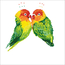 Diamond Dotz Love Birds - Needleart World