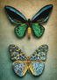 Diamond Dotz Antique Butterflies - Needleart World