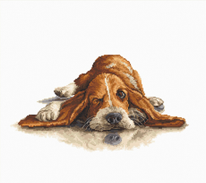 Cross stitch kit Basset  - Luca-S