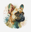 Borduurpakket The French Bulldog - Luca-S