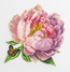 Cross stitch kit Rozella Peony - Luca-S