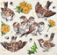 Cross stitch kit Sparrows - Leti Stitch