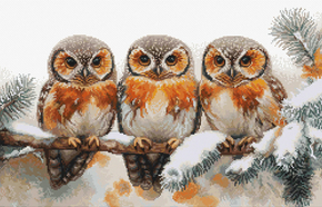 Cross stitch kit Owls in The Silence of Winter - Luca-S